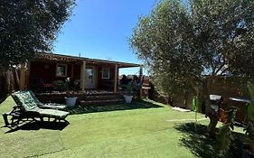 LA ALMADRABA del Palmar II